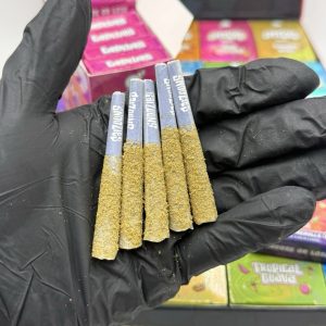 snoozies minis pre rolls