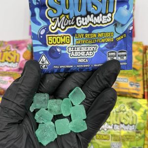 squish mini gummies