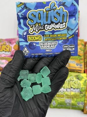 squish mini gummies