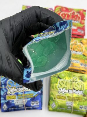 squish mini gummies