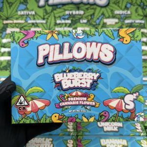 snooze pillows summer edition